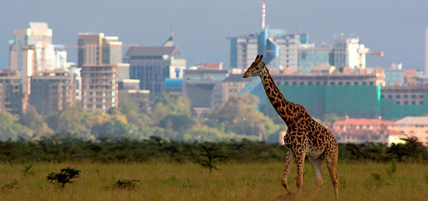 where is nairobi safari park