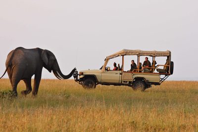 2-days-masai-mara-safari