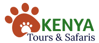 Kenya Tours and Safaris