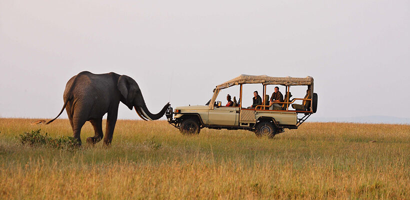 2 Days Masai Mara Safari