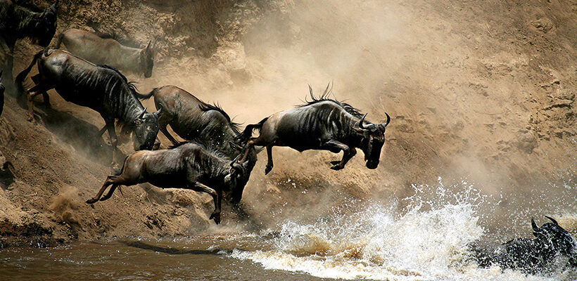 3 Days Masai Mara Joining Safari (low seaon Low Season Jan 1 – June 30)