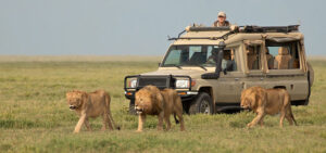 9 Days Lake Manyara – Serengeti – Ngorongoro Crater Safari