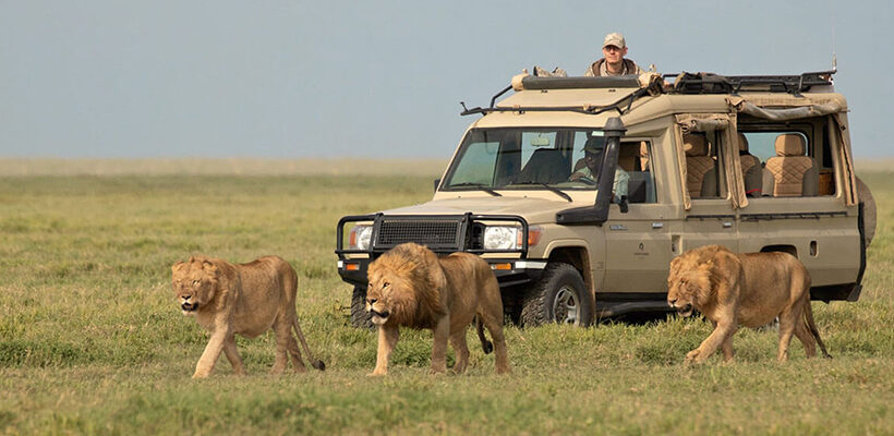 9 Days Lake Manyara – Serengeti – Ngorongoro Crater Safari