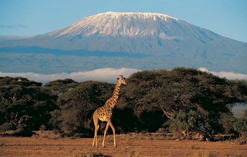 7 Days Mount Kilimanjaro - Marangu Route
