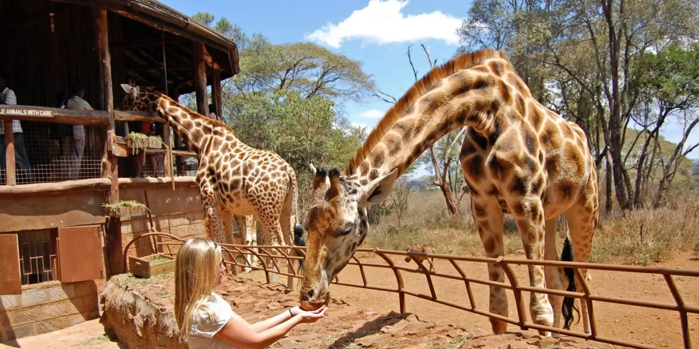 Animal Sanctuaries & Local Culture