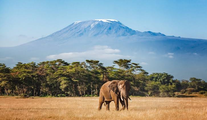 6 Days Kilimanjaro Climbing - Machame Route